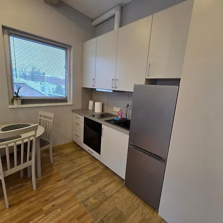 Apartmentai Panemuneje Su Vaizdu I Nemuna