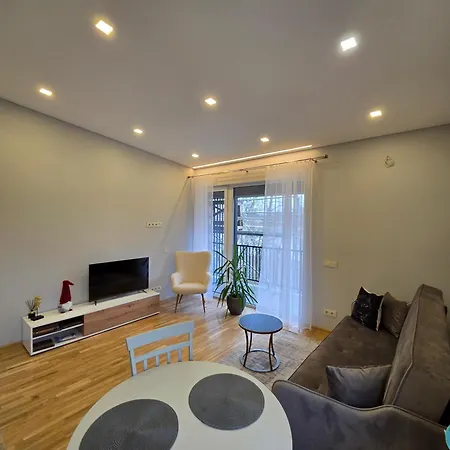 Apartmentai Panemuneje Su Vaizdu I Nemuna