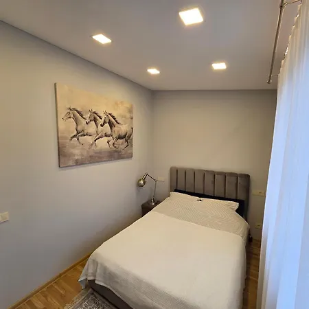 Apartmentai Panemuneje Su Vaizdu I Nemuna Каунас