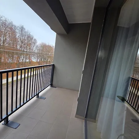 Апартаменты Apartmentai Panemuneje Su Vaizdu I Nemuna Каунас