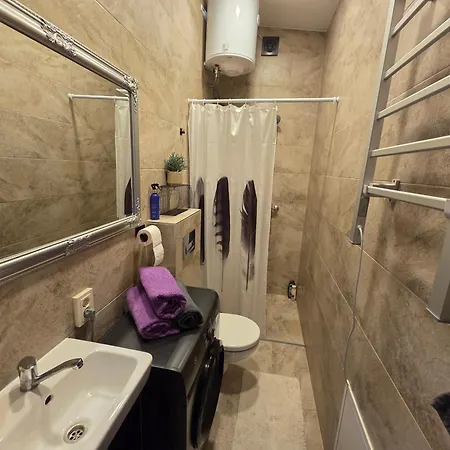 Apartmentai Panemuneje Su Vaizdu I Nemuna Каунас