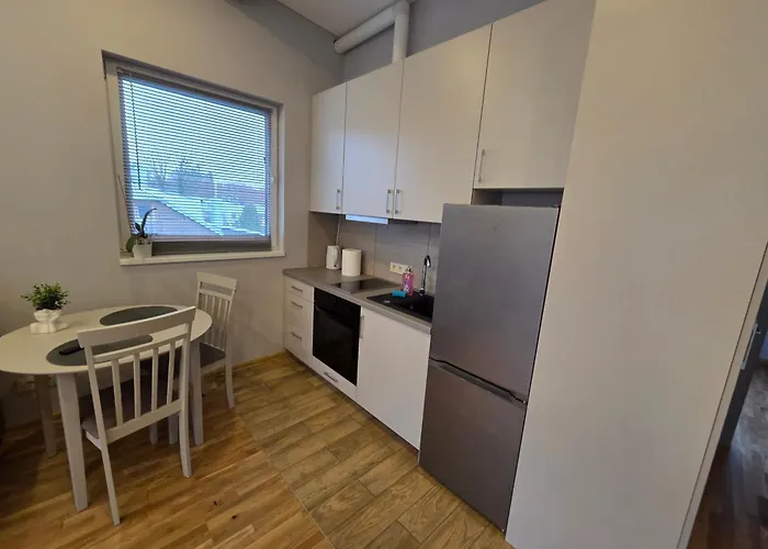 Apartmentai Panemuneje Su Vaizdu I Nemuna