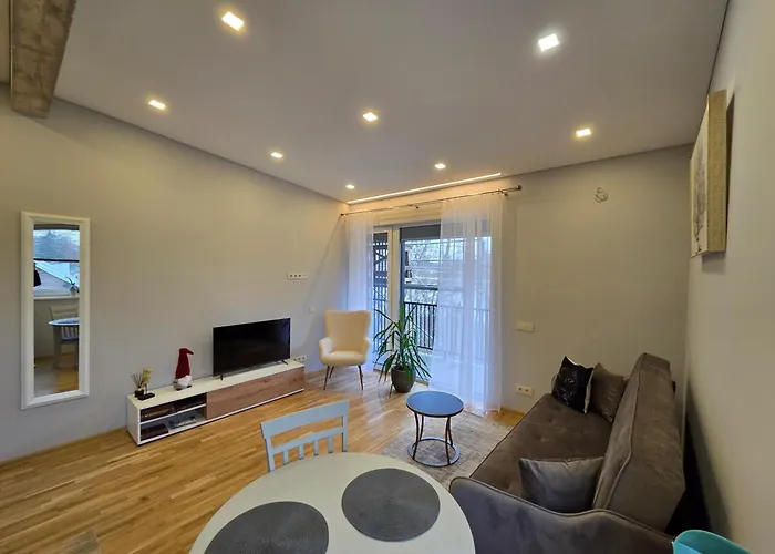 Apartmentai Panemuneje Su Vaizdu I Nemuna