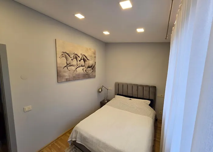 Apartmentai Panemuneje Su Vaizdu I Nemuna Каунас