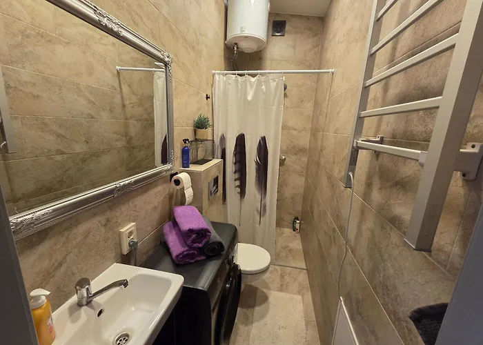 Apartmentai Panemuneje Su Vaizdu I Nemuna Каунас