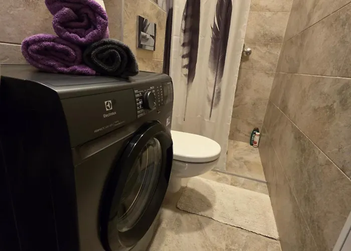 Апартаменты Apartmentai Panemuneje Su Vaizdu I Nemuna *